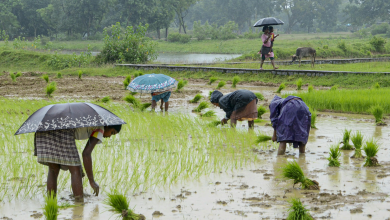 रकार की बारिश प्रभावित किसानों को राहत