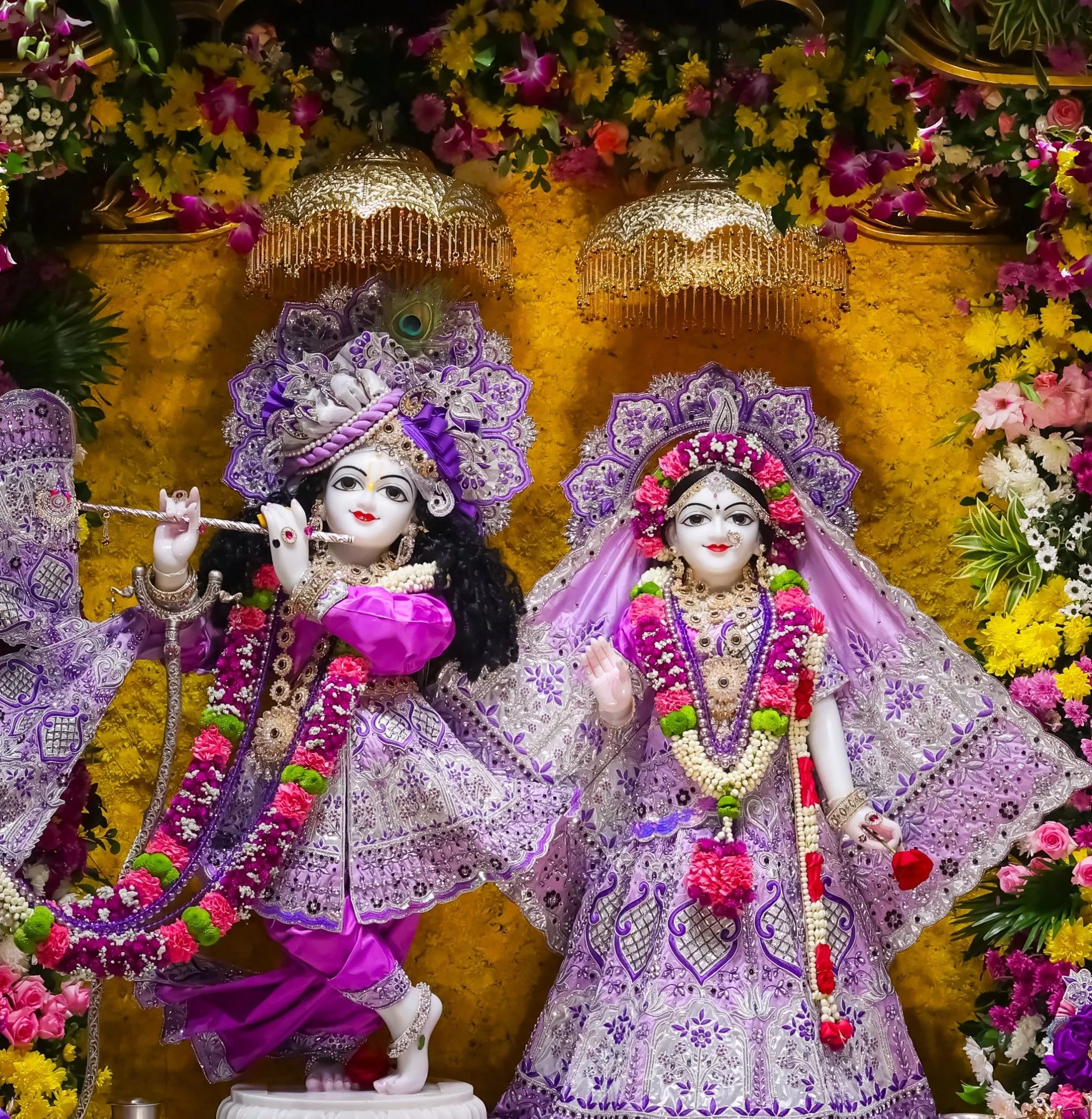 हरे कृष्ण स्वर्ण मंदिर में श्री ब्रह्मोत्सव का दिव्य उत्सव चरम पर