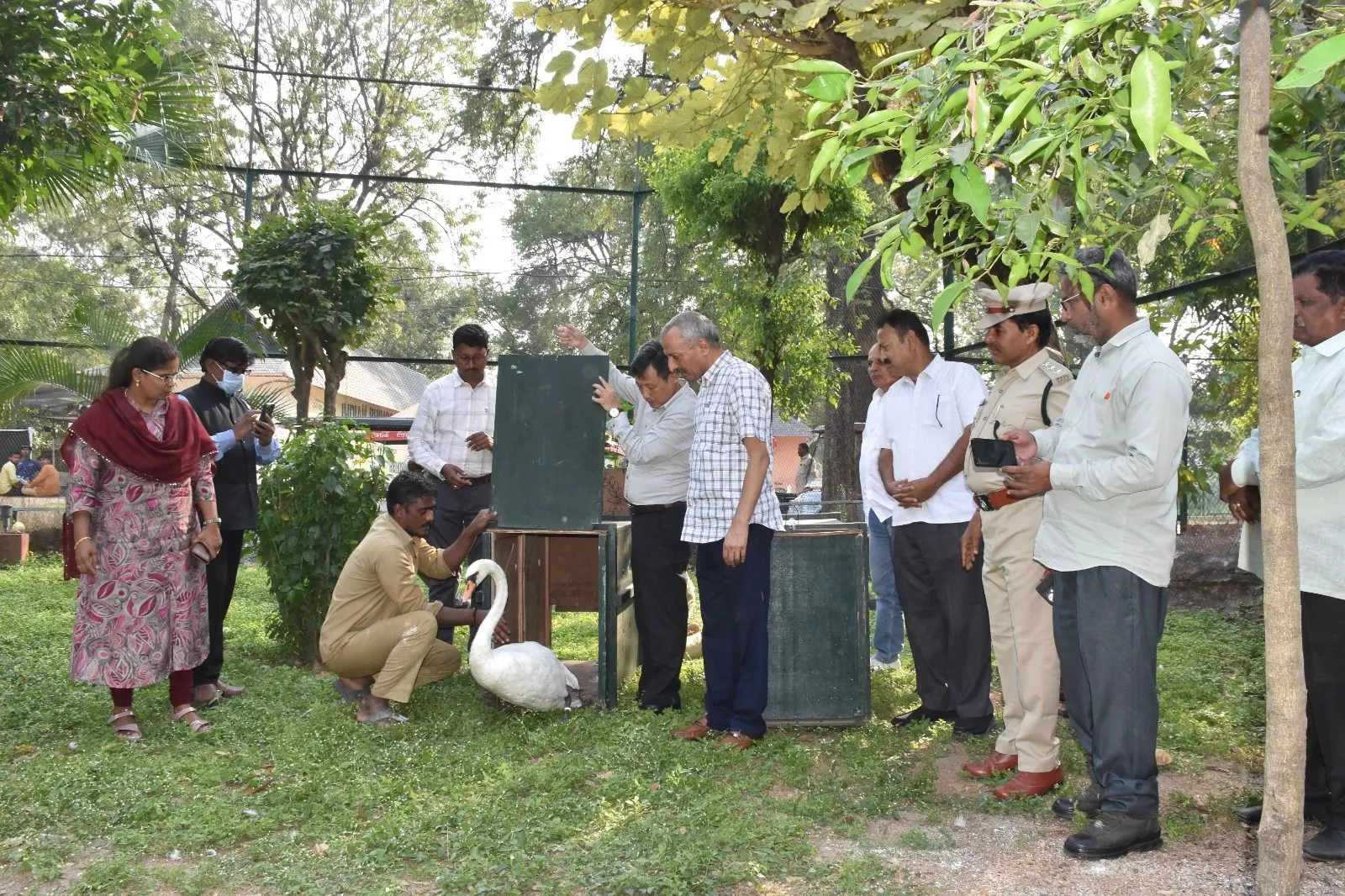 नेहरू प्राणी उद्यान हैदराबाद में सफेद हंसों का आगमन