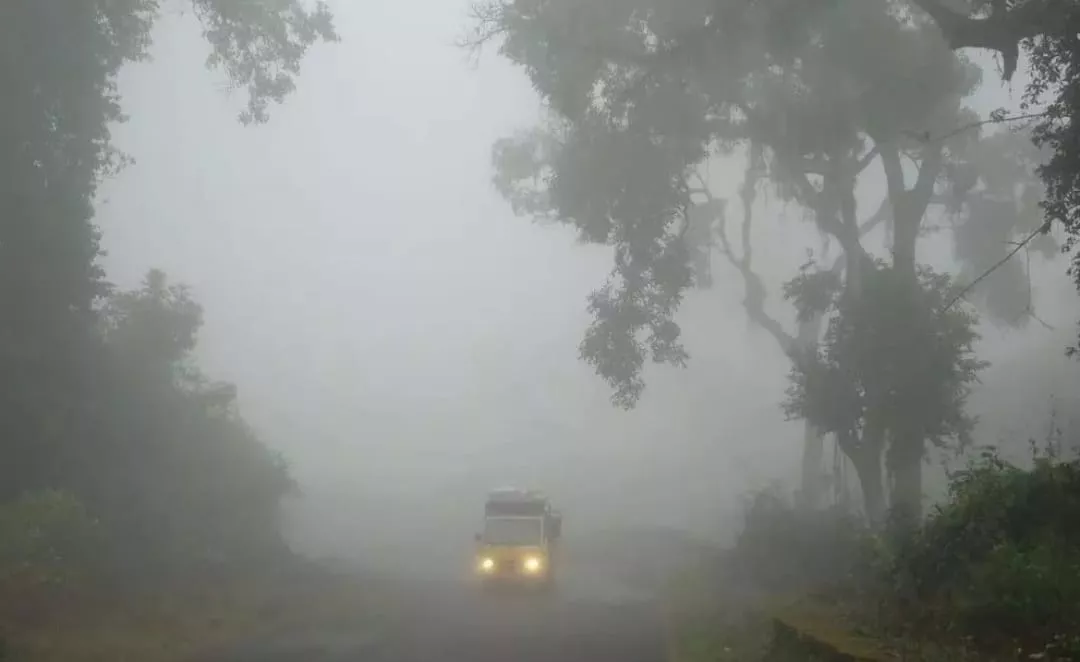 ओआरआर और मुख्य मार्गों पर कोहरे के कारण वाहन चालक सतर्क रहें