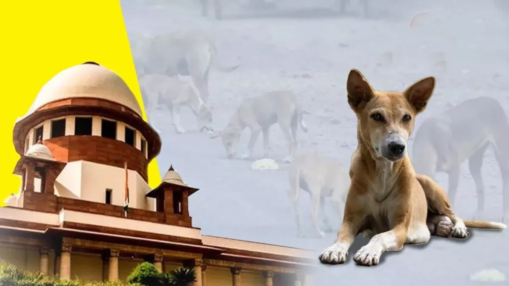 उच्चतम न्यायालय ने आवारा कुत्तों के मामले में सुनवाई शुरू की