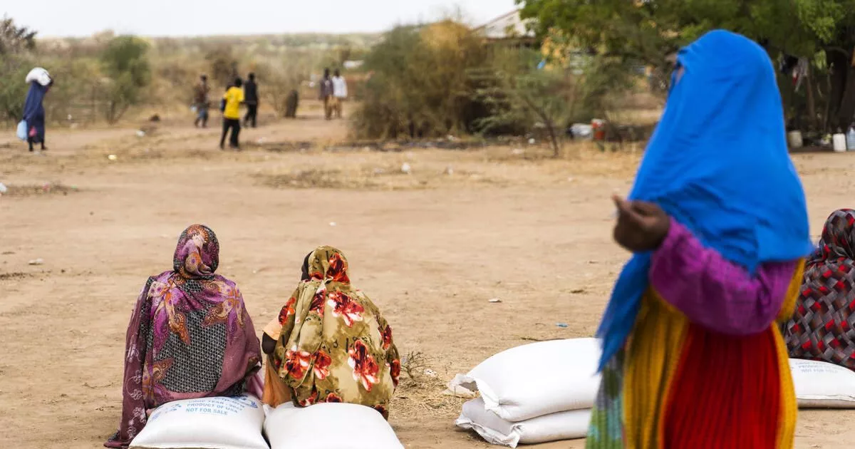 सूडान में युद्ध प्रभावित महिलाओं की स्थिति