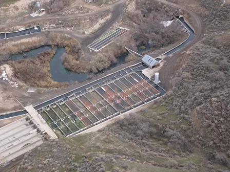 हैदराबाद में भारत के पहले वाणिज्यिक उष्णकटिबंधीय ट्राउट फार्म का होगा उद्घाटन