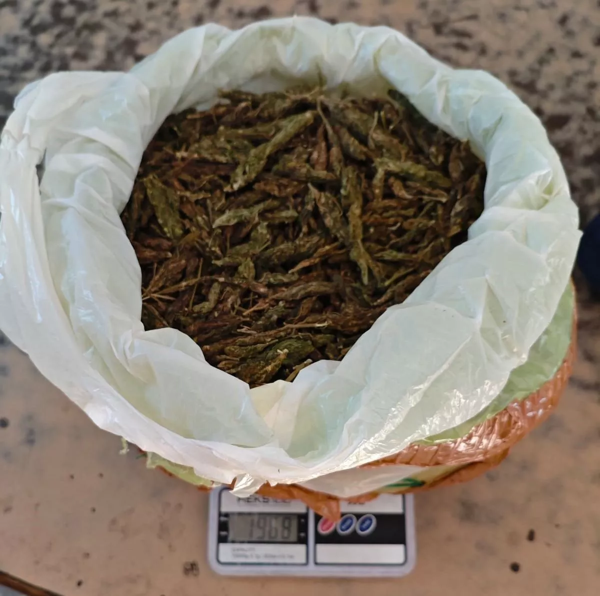 अंतरराज्यीय गांजा तस्करी का भंडाफोड़, 2 किलो गांजा जब्त