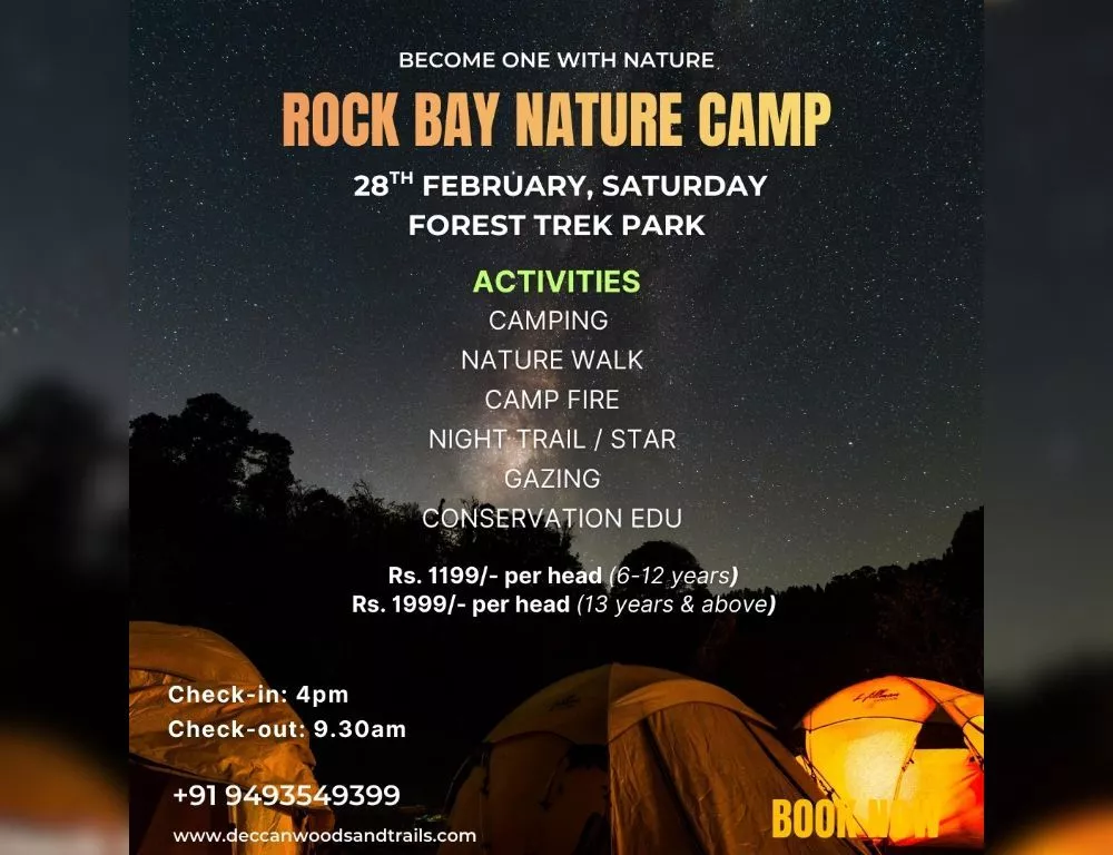 नेचर कैंप में टेंट और जंगल गतिविधियों में भाग लेते लोग