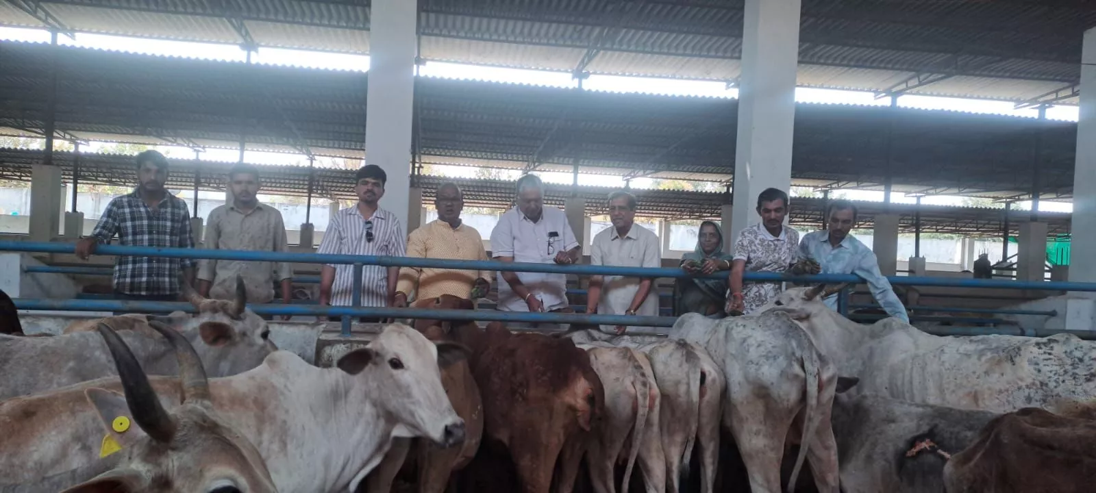 हैदराबाद गौशालाओं में फाल्गुन अमावस्या पर सपरिवार सेवा