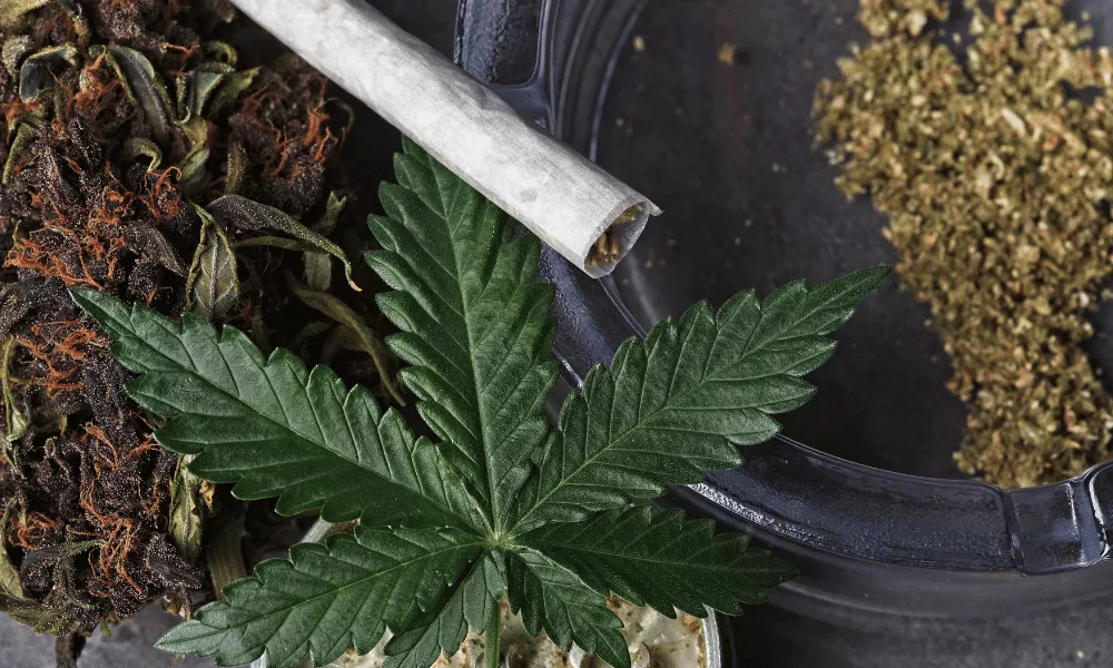 महराजगंज में बरामद चरस के पैकेट और जब्त कार