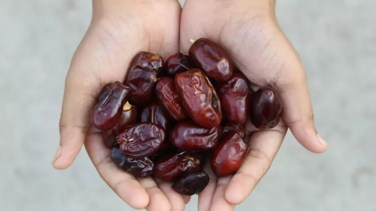 इफ्तार के लिए खजूर की मांग बढ़ी