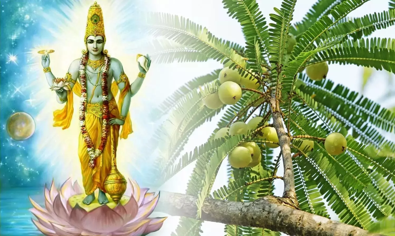 आमलकी एकादशी 2026: तिथि, पारण और पूजा विधि