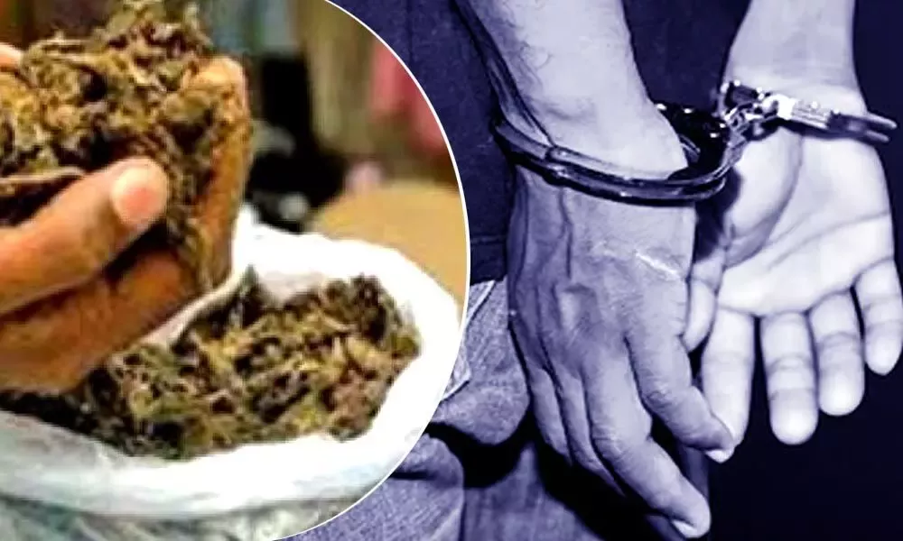 नारायणगुड़ा में 1.5 किलो गांजा जब्त, एक गिरफ्तार