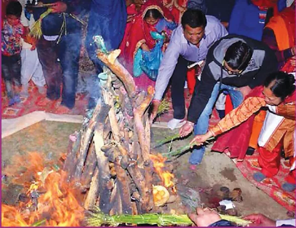 होलिका दहन के लिए सजाई गई सूखी लकड़ियां