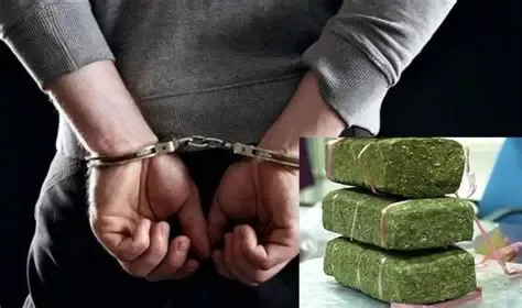 कोझिकोड में कार से बरामद गांजा के पैकेट