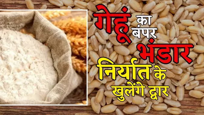सरकार का बड़ा फैसला: 25 लाख टन गेहूं के निर्यात को मंजूरी