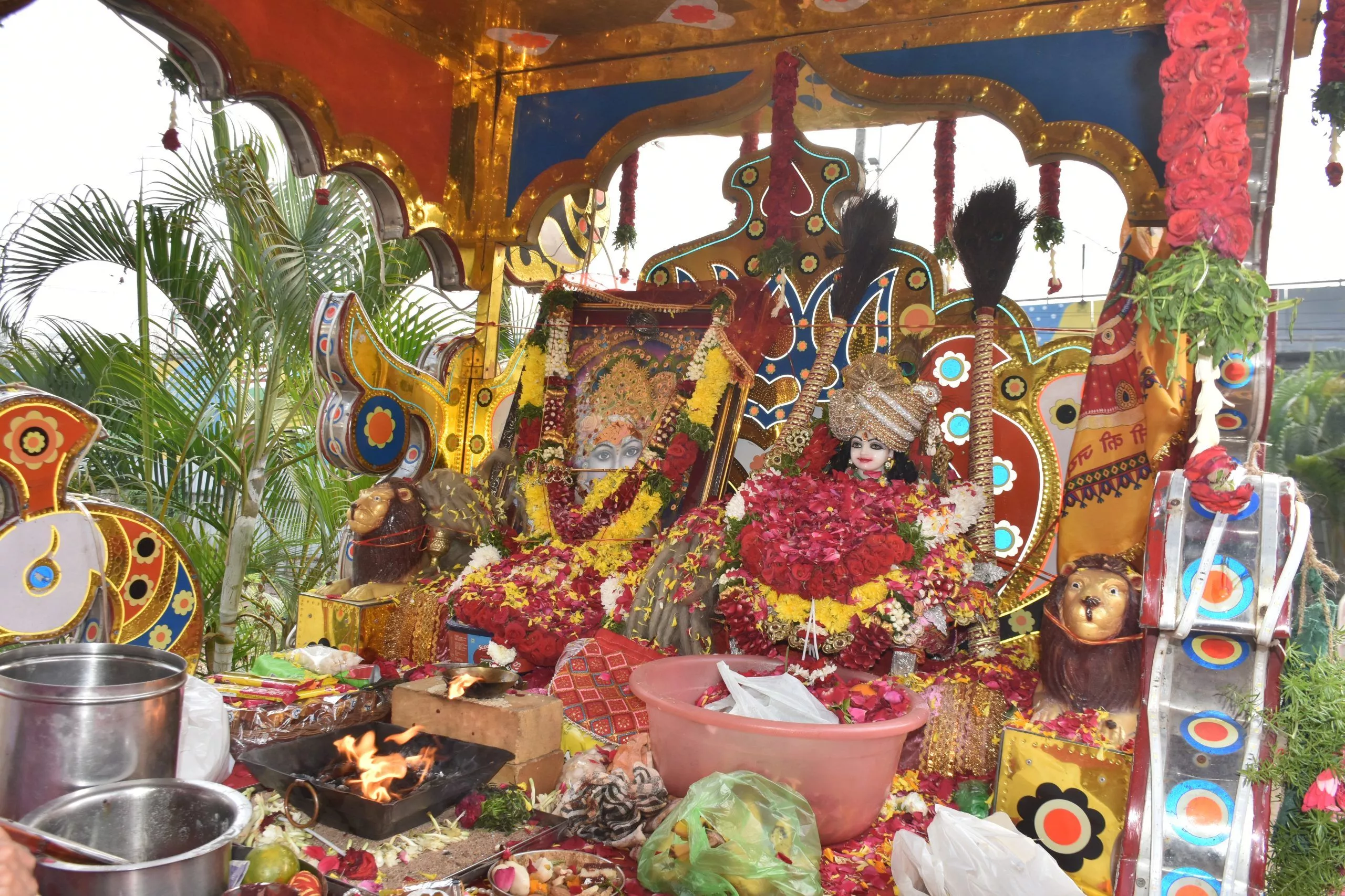 श्रीम श्याम निशान यात्रा में भक्त जयकारे लगाते हुए