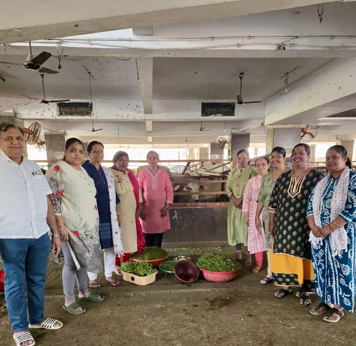 हैदराबाद गौशालाओं में फाल्गुन अमावस्या पर सपरिवार सेवा