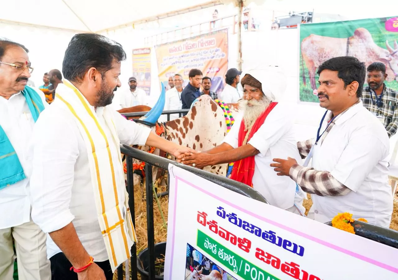 होर्मुज जलडमरूमध्य से गुजरते तेल टैंकर