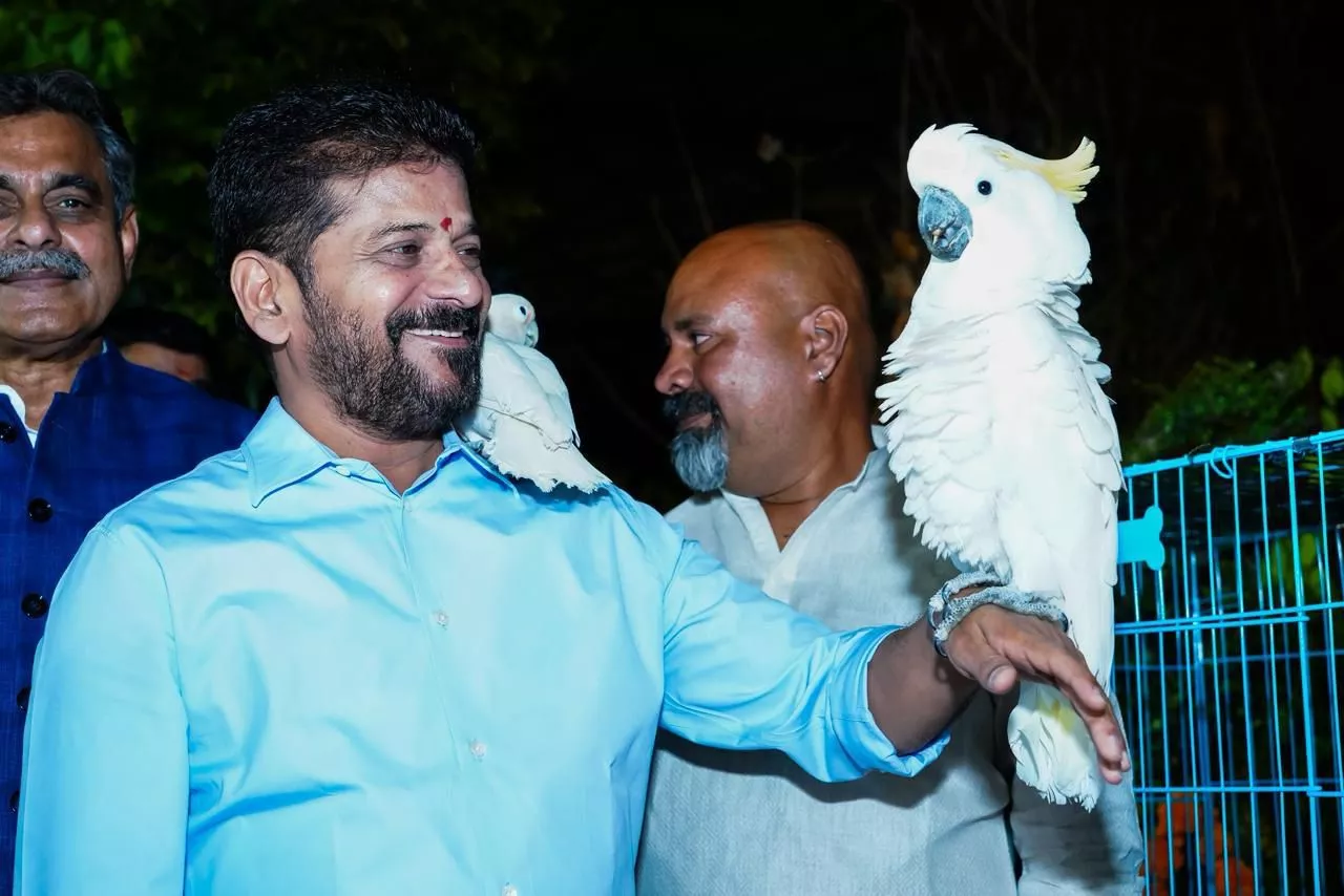 इको हिल पार्क उद्घाटन समारोह में मुख्यमंत्री रेवंत रेड्डी