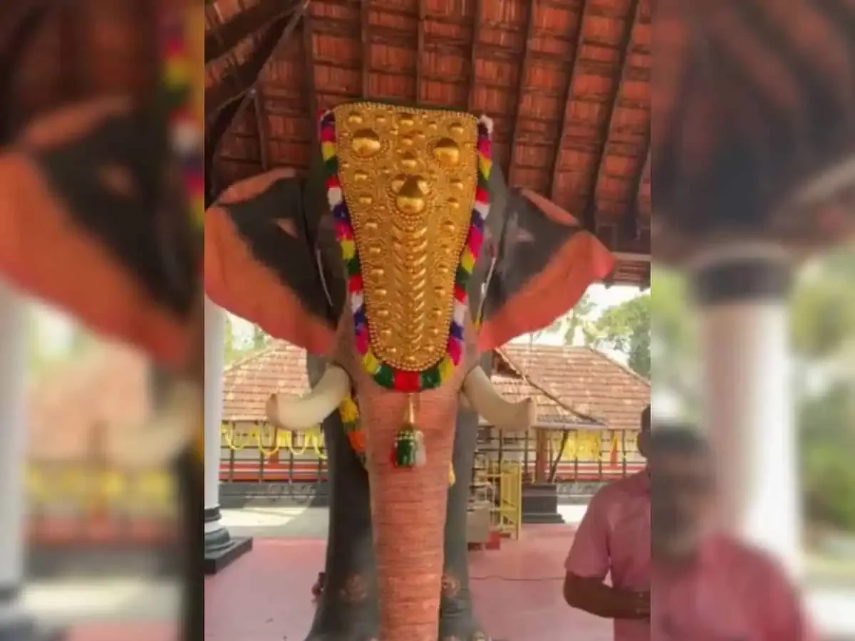 चेन्नई मंदिर में रोबोटिक हाथी ‘ऐरावतम’ का दृश्य