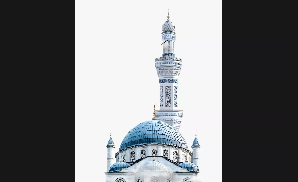 ईद 2026: स्वादिष्ट शाकाहारी रेसिपीज बनाएं खास