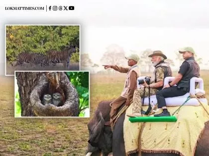 जीव विविधता का जश्न है