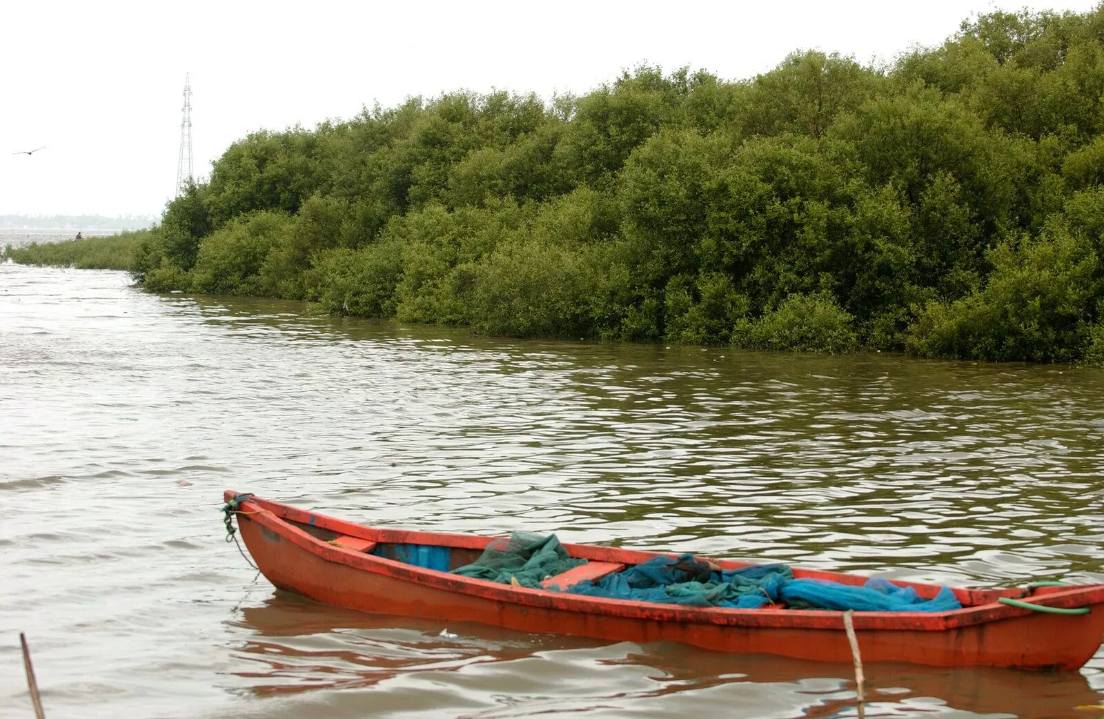 मुंबई तट पर मैंग्रोव पेड़ों की कटाई का दृश्य