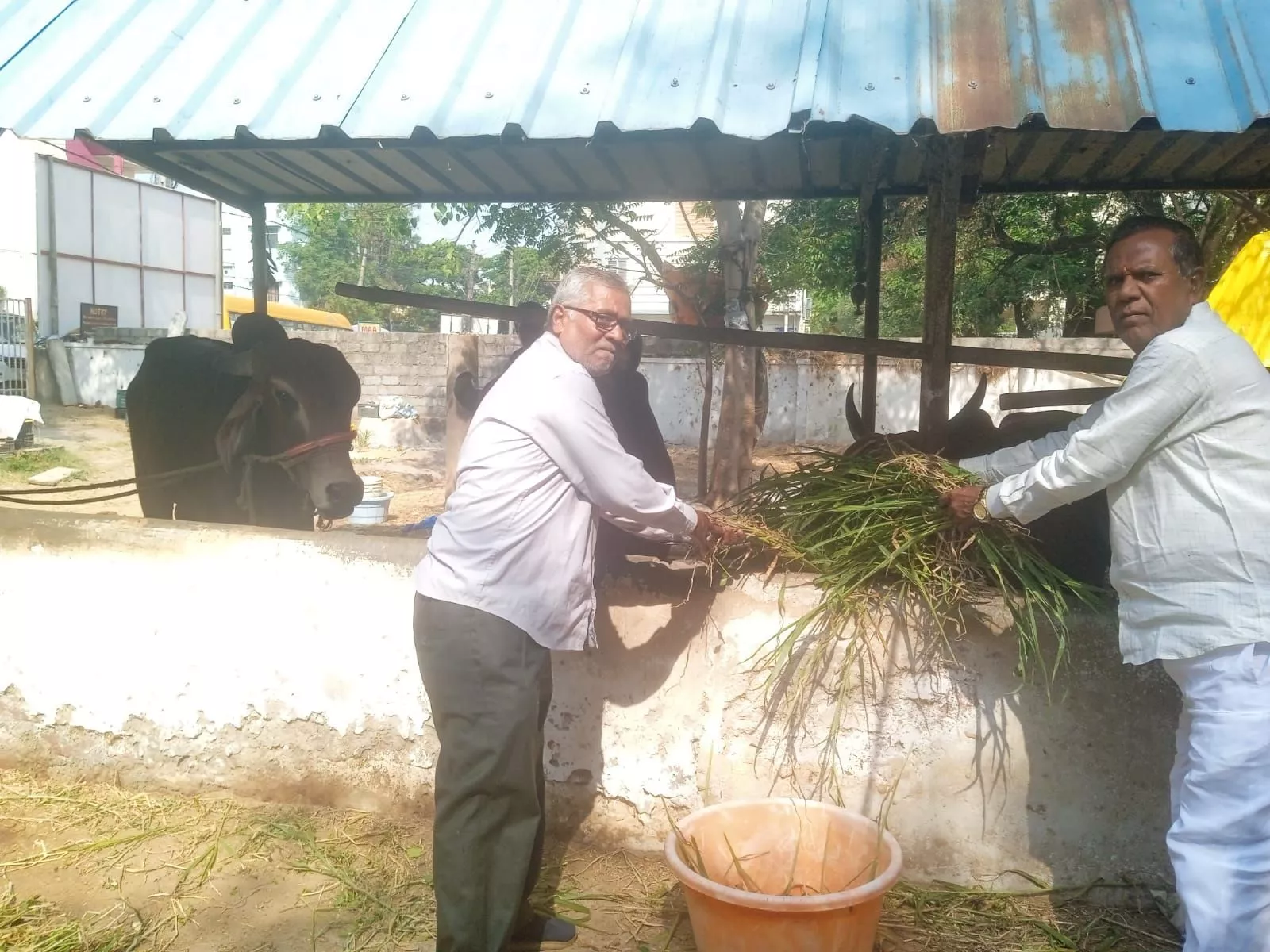 हैदराबाद में गौ सेवा और गौ पूजन कार्यक्रम