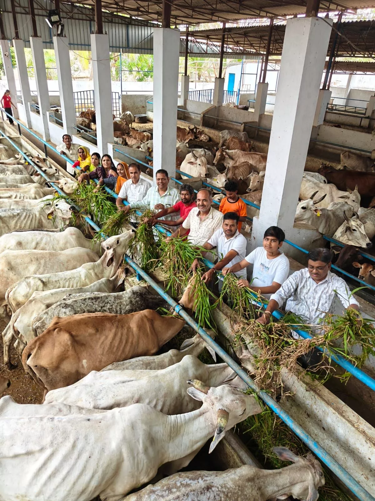 हैदराबाद में गौ सेवा और गौ पूजन कार्यक्रम