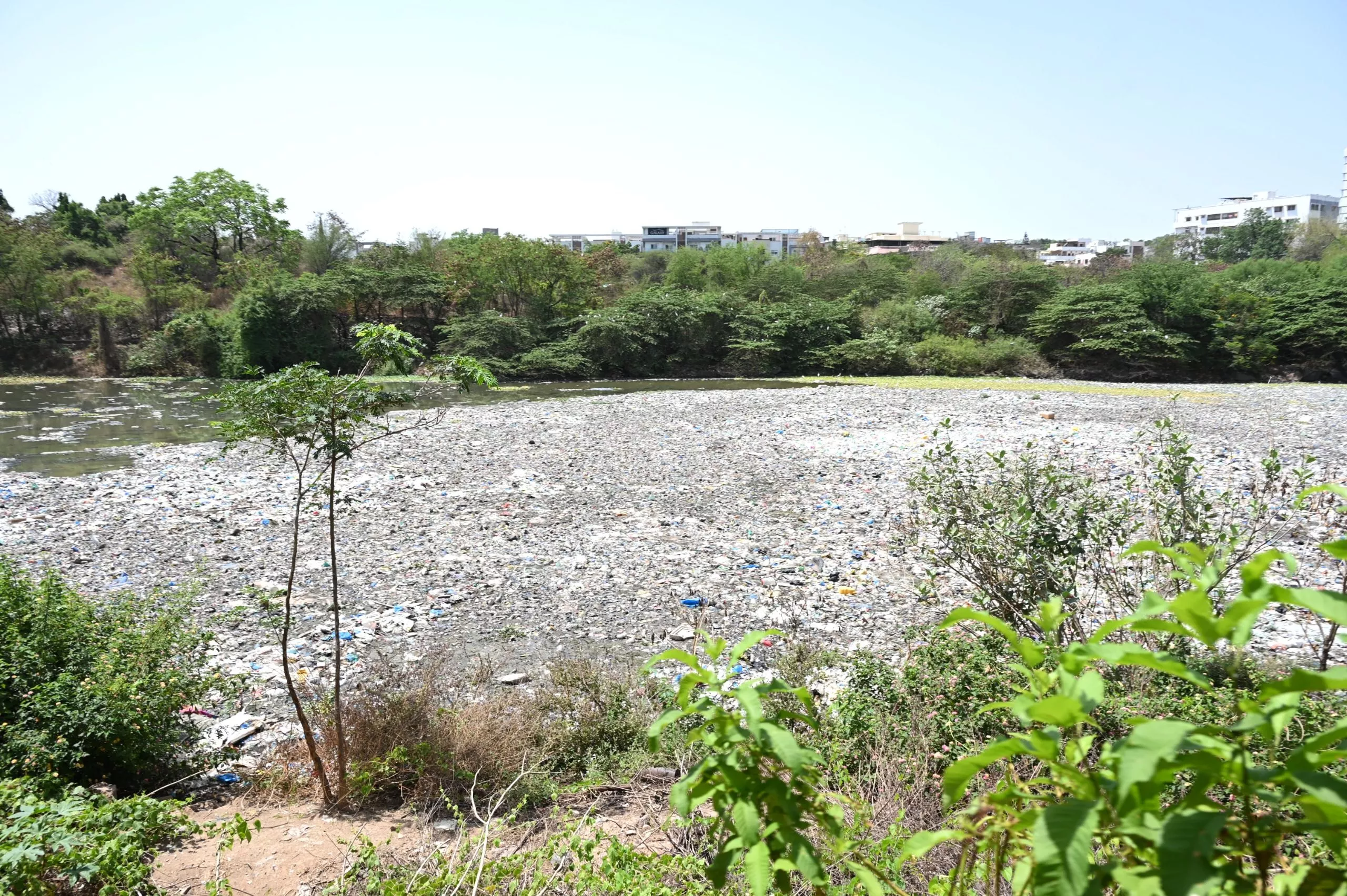 बंजारा लेक में सीवेज व प्लास्टिक से बढ़ा प्रदूषण