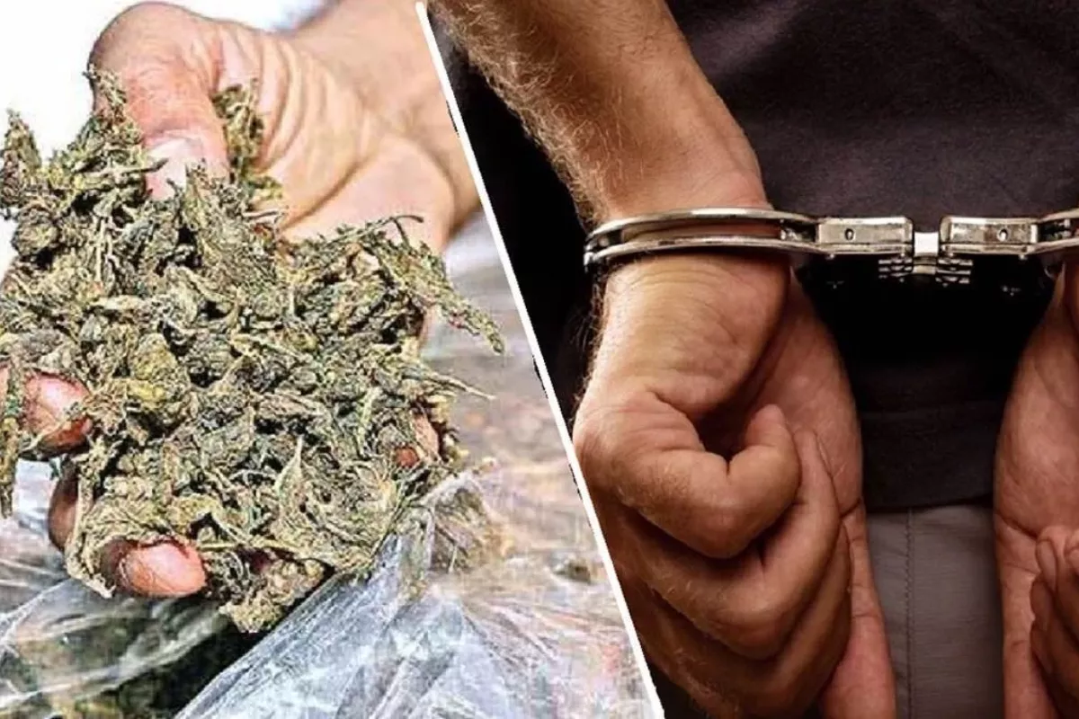 IGI एयरपोर्ट पर ड्रग्स तस्करी, 4 यात्री गिरफ्तार