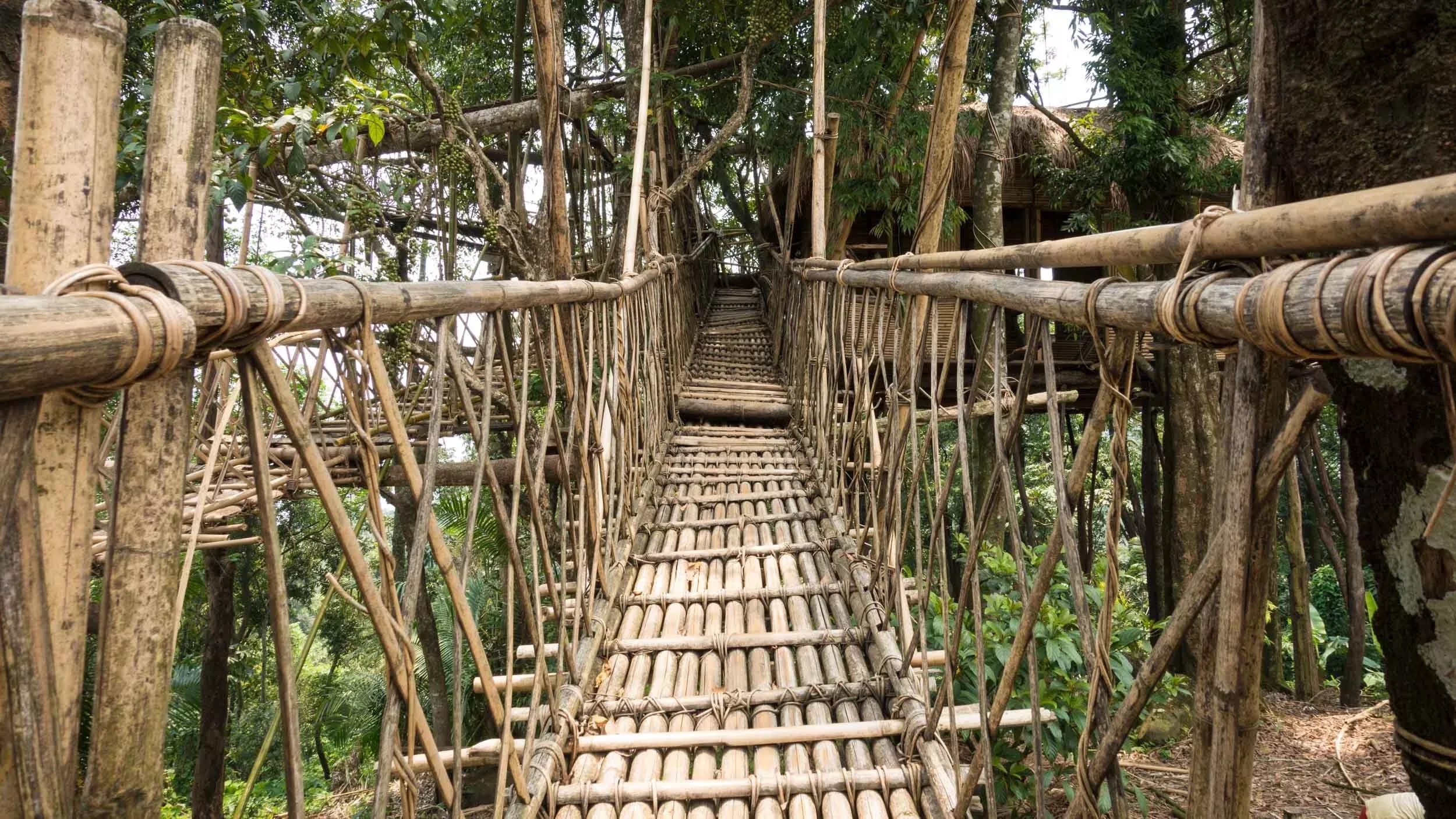 भारत के 5 हिडन जेम्स जो इंस्टाग्राम पर वायरल हो रहे हैं