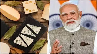 डेरी सेक्टर में बड़े बदलाव का जिक्र किसानों और उद्योग को मिलेगा लाभ