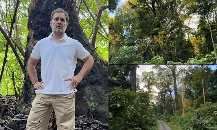 निकोबार दौरे में राहुल गांधी ने परियोजना पर सवाल उठाए