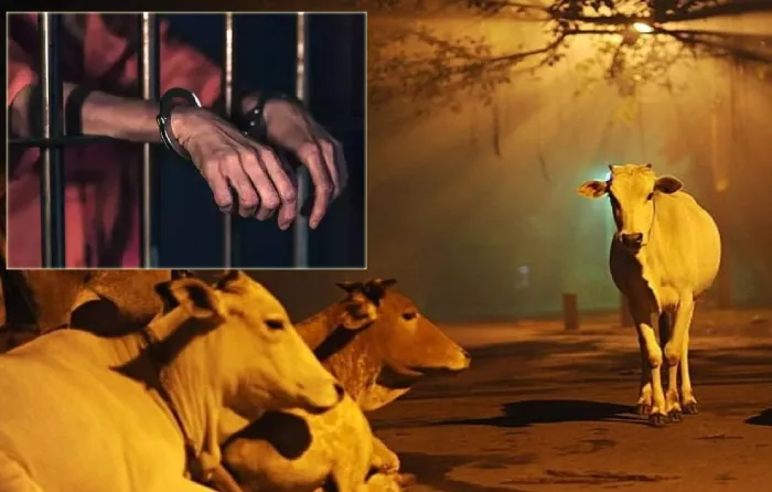 सुलतानपुर मुठभेड़ में गोकशी के तीन आरोपी गिरफ्तार