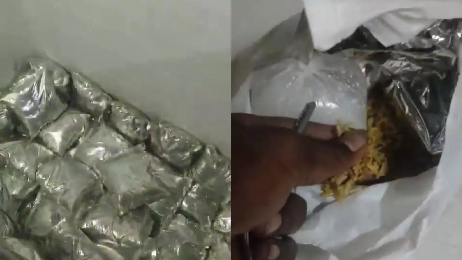 सड़ी बिरयानी मिलने पर होटल को किया गया सील