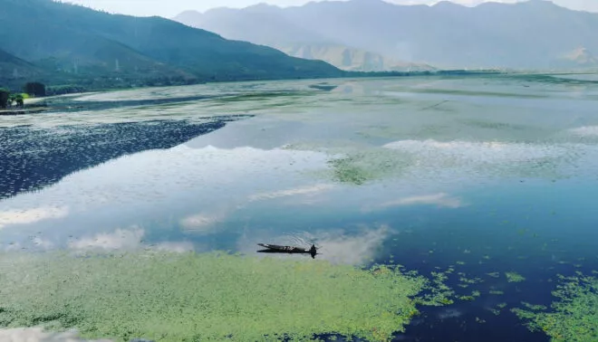 वुलर झील पुनर्जीवन: गाद हटी, पारिस्थितिक संतुलन बहाल