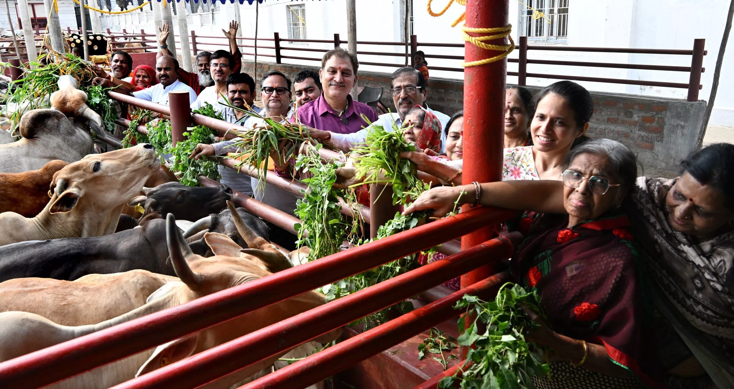 वैशाख अमावस्या पर गौशालाओं में भक्तों की सेवा