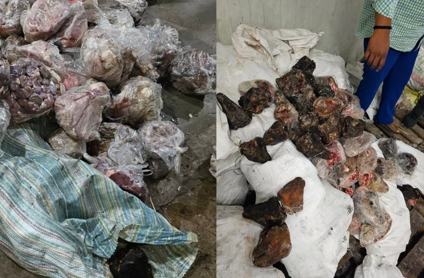 खाद्य सुरक्षा टीम ने 14 टन सड़ा मांस किया ज़ब्त