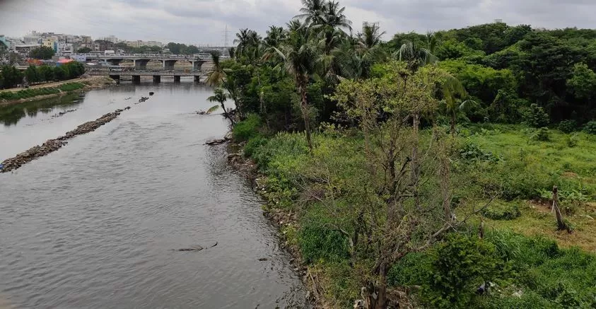 मूसी प्रॉजेक्ट पर NGT सुनवाई का दृश्य