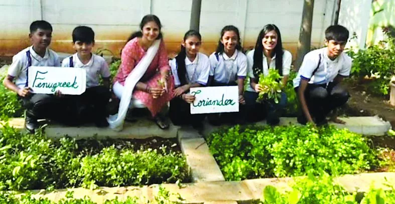 छात्रों ने स्कूल में उगाई फसल की कटाई करते हुए