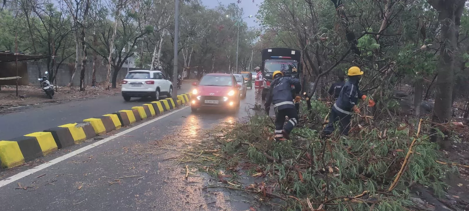 बारिश और तूफान से शहर में पेड़ गिरने की घटनाएं