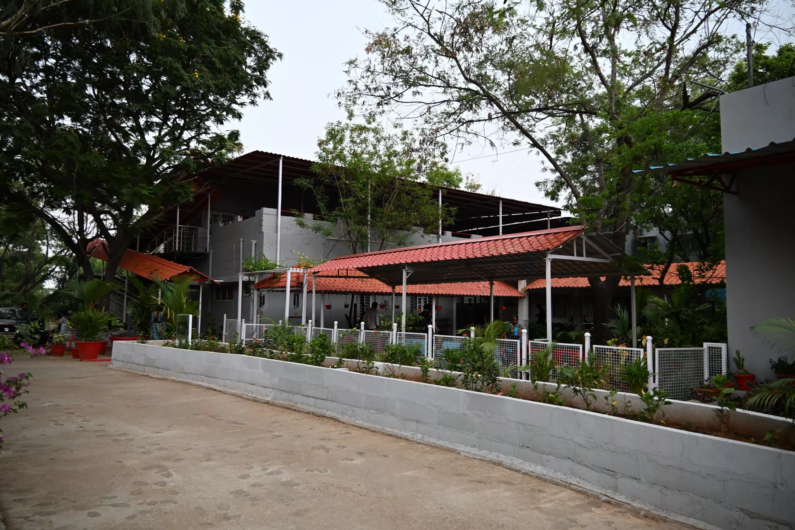 मौत के साये में पीड़ाहरन की अग्रदूत - डॉ. गायत्री पालाट