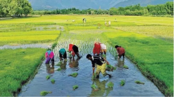 नई कृषि नीति पर मंत्री का बड़ा बयान