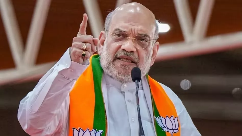मवेशी तस्करी पर अमित शाह का बयान